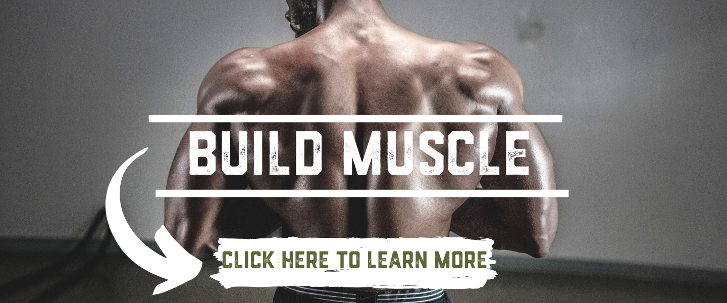 Build Muscle